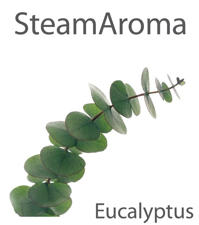Aroma Eucalyptus Aroma Steam rooms