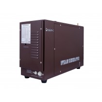 12kW Heavy Duty Commercial OCD Steam Generator 