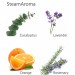 Aroma fragrances