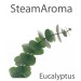 parfum eucalyptus pour hammam et sauna, Oceanic Saunas