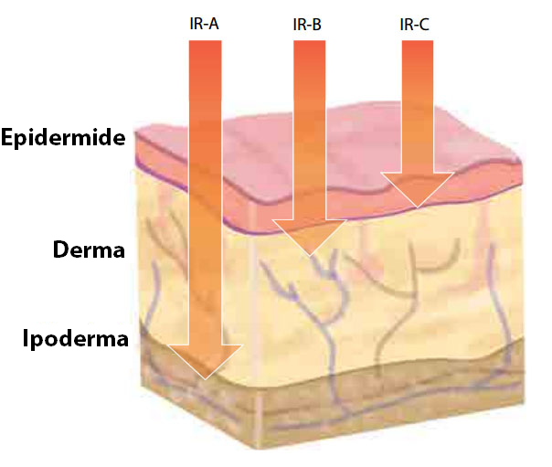 Penetrazione dei raggi infrarossi A - B - C nella pelle umana